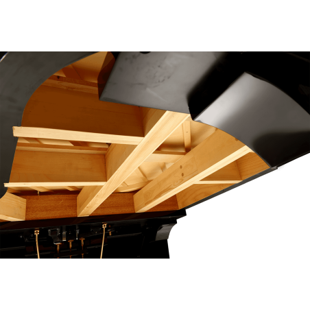 P190-BLK PLEYEL