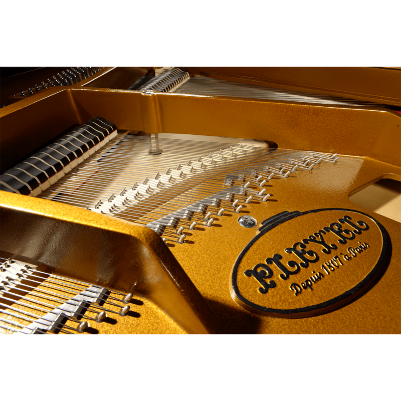 P190-BLK PLEYEL