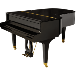 P190-BLK PLEYEL