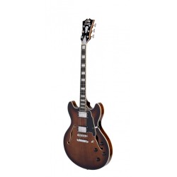 PREMIER DC BROWN BURST D'ANGELICO sljmusic.com
