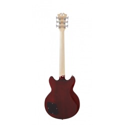 PREMIER BRIGHTON SKY BLUE D'ANGELICO sljmusic.com