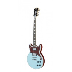 PREMIER BRIGHTON SKY BLUE D'ANGELICO sljmusic.com