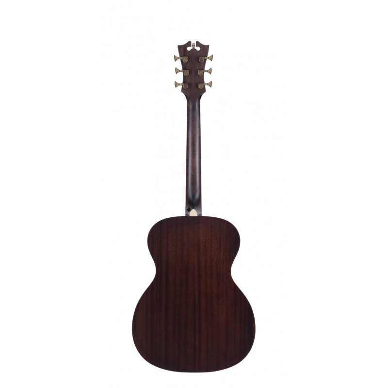 PREMIER TAMMANY NATURAL D'ANGELICO sljmusic.com