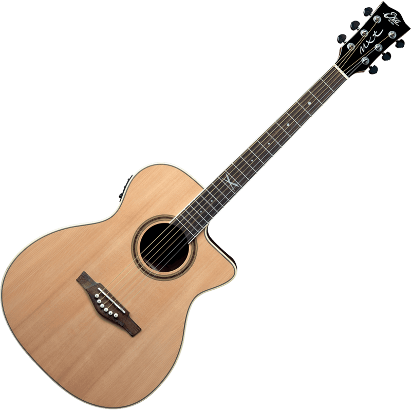 NXT-A100CWE-NAT EKO