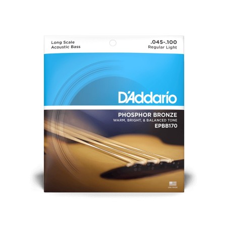D'Addario Regular Light Long Scale Acoustic Bass Strings