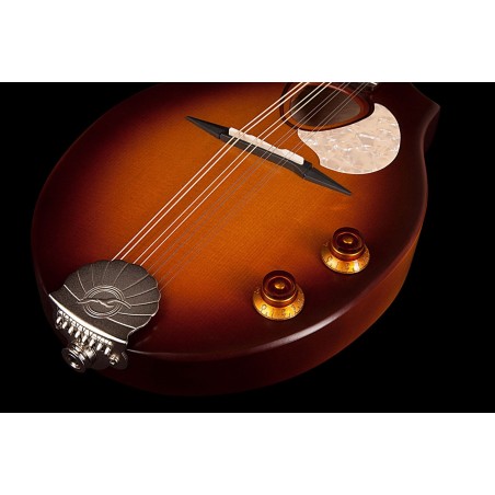 S8 MANDOLINE SUNBURST EQ SEAGULL sljmusic.com