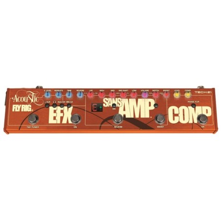 Acoustic Fly Rig TECH 21