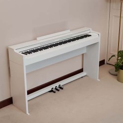 AP-S200WE CASIO sljmusic.com